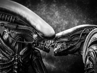 Aliens Kiss Love Xenomorph BW Movie Sci-Fi Art Wall Art Print Poster