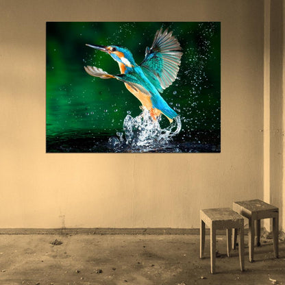 Alcedo Atthis Kingfisher Beautiful Bird Macro Splashes Wall Art Print Poster