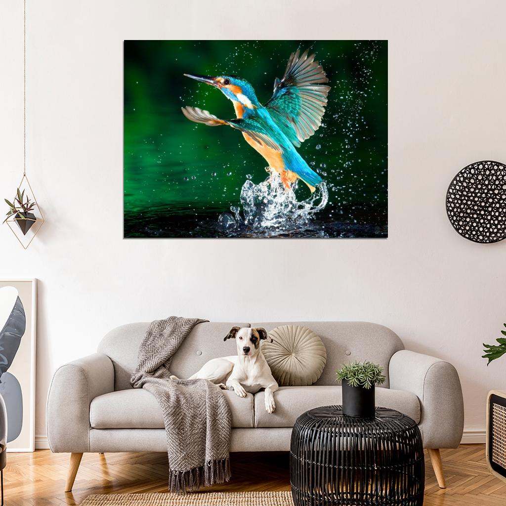 Alcedo Atthis Kingfisher Beautiful Bird Macro Splashes Wall Art Print Poster