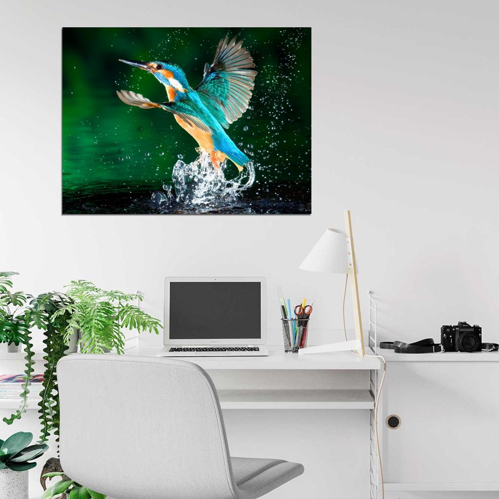 Alcedo Atthis Kingfisher Beautiful Bird Macro Splashes Wall Art Print Poster