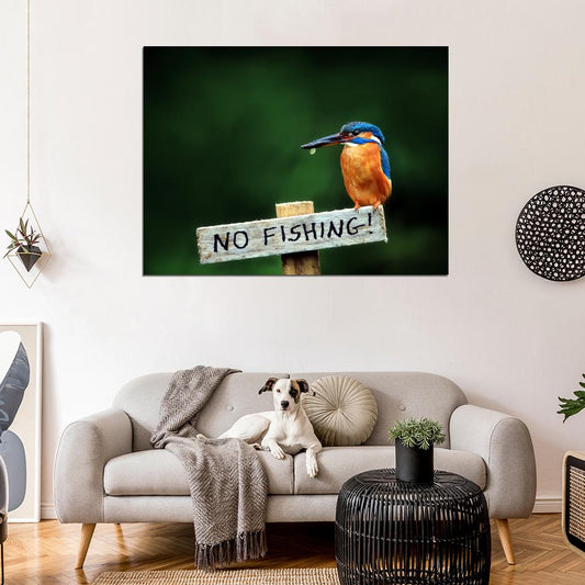 Alcedo Atthis Kingfisher Beautiful Bird Funny Animal Nature Wall Art Print Poster