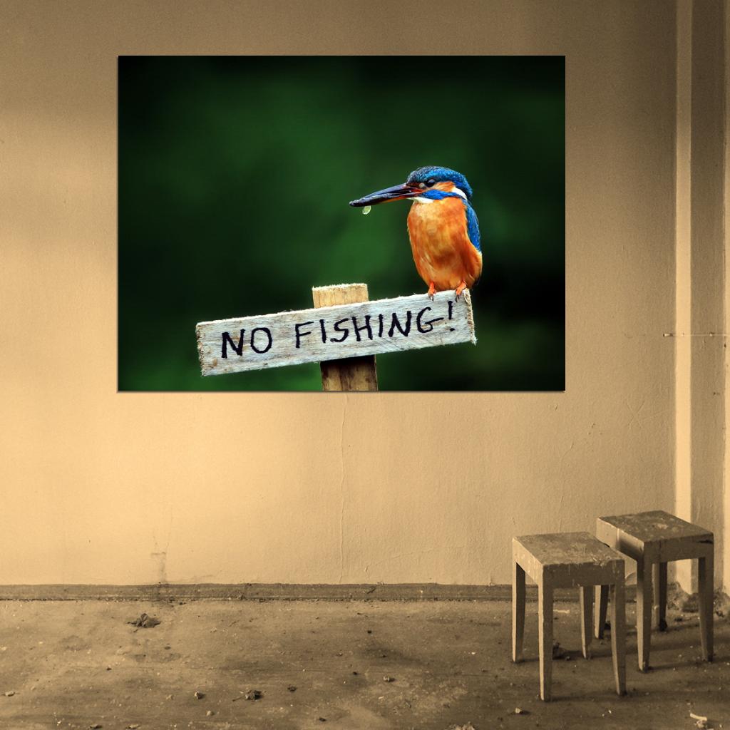 Alcedo Atthis Kingfisher Beautiful Bird Funny Animal Nature Wall Art Print Poster
