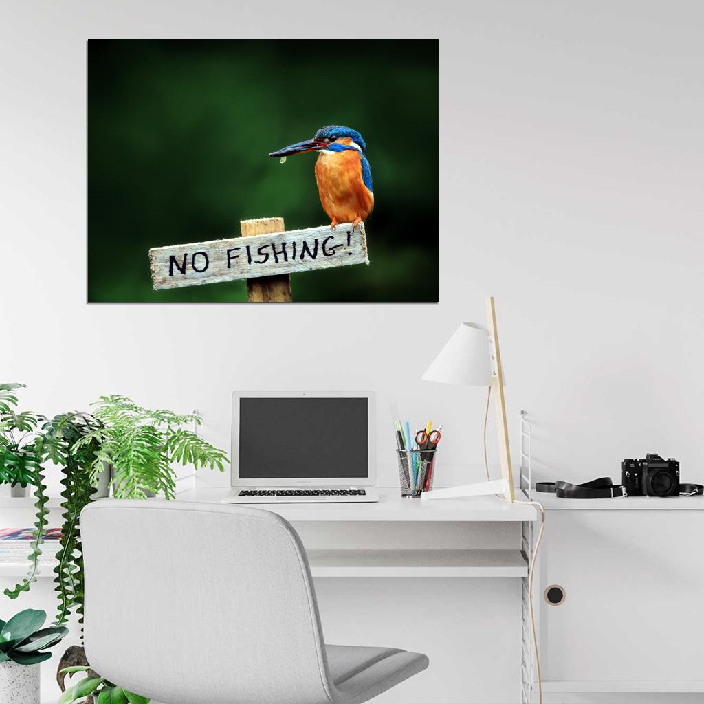 Alcedo Atthis Kingfisher Beautiful Bird Funny Animal Nature Wall Art Print Poster