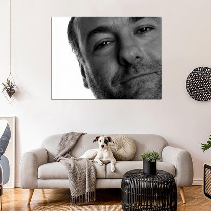 James Gandolfini BW Portrait Actor Wall Art Print Poster