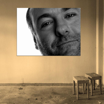 James Gandolfini BW Portrait Actor Wall Art Print Poster