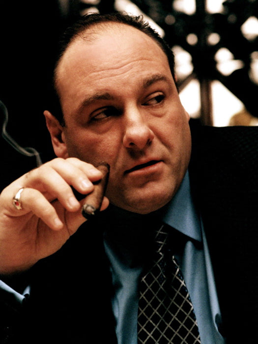 Tony Soprano Portrait Smoking TV Series The Sopranos James Gandolfini Wall Art Print Poster