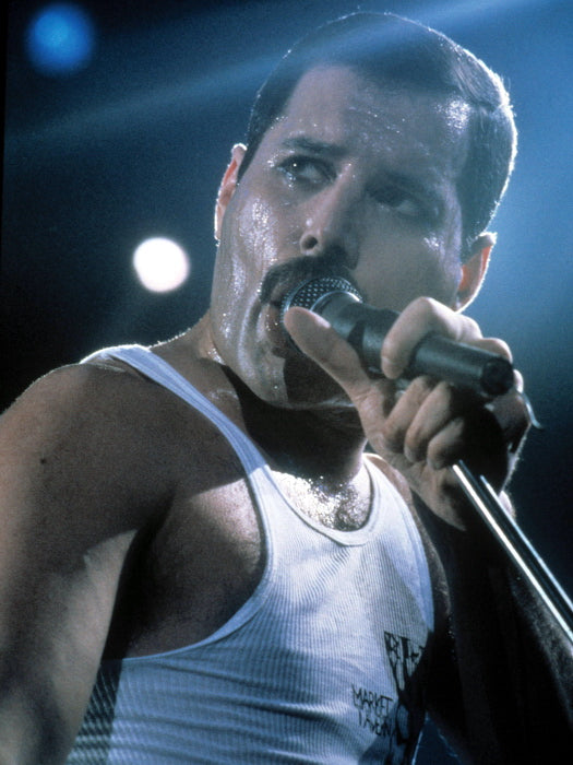 Freddie Mercury Live Concert Queen Rock Music Wall Art Print Poster