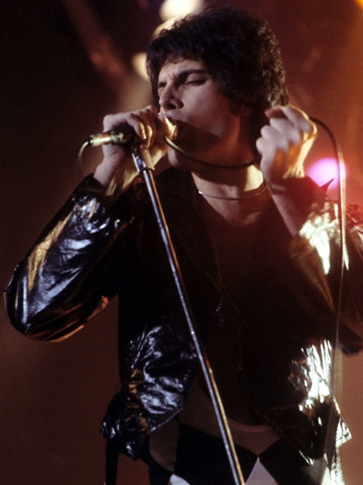 Freddie Mercury Live Concert 1978 Queen Rock Music Retro Wall Art Print Poster