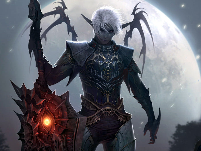 Lineage 2 Dark Elf LA2 MMO Video Game Art Wall Art Print Poster