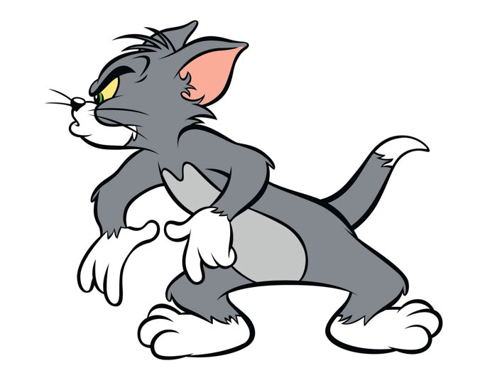Tom and Jerry Cool Funny Original Cat Cartoon Art Wall Art Print Poster