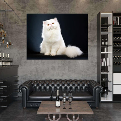 Beautiful White Persian Cat Kitten Wall Art Print Poster