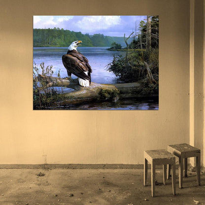 Beautiful Amazing Painting Art Bald Eagle Nature Landscape River Wall Art Print Poster