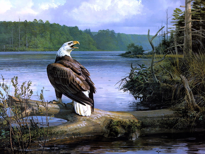 Beautiful Amazing Painting Art Bald Eagle Nature Landscape River Wall Art Print Poster