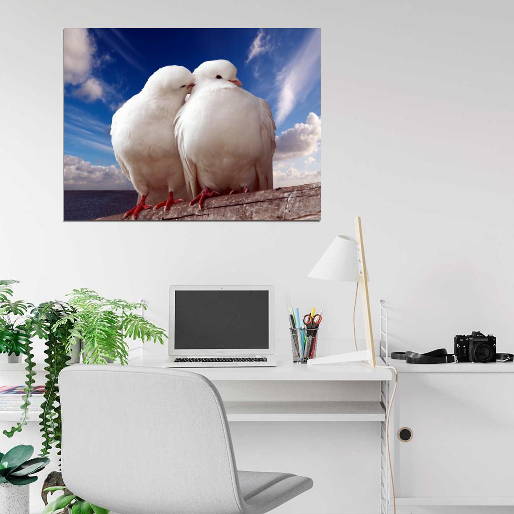 Pigeons Dove Blue Sky Sea Love Romance Kiss Peace Wall Art Print Poster