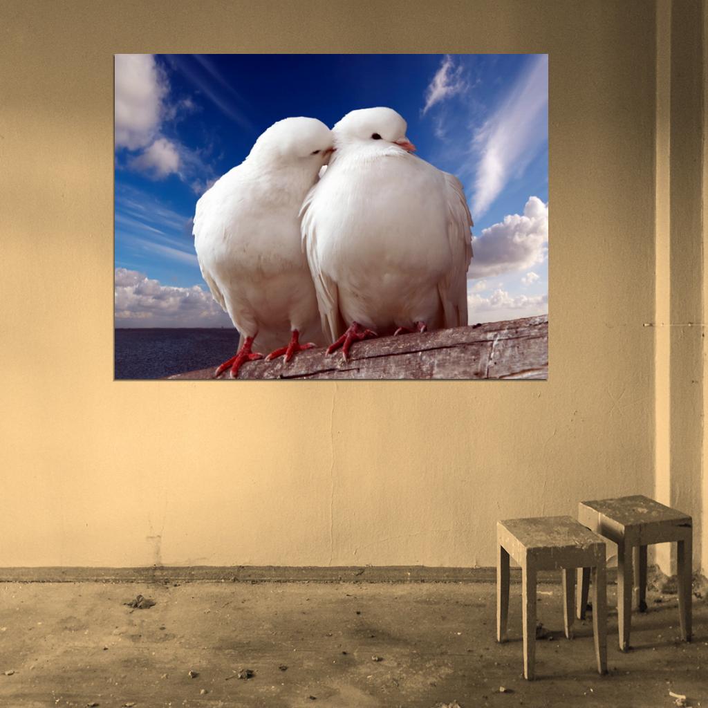 Pigeons Dove Blue Sky Sea Love Romance Kiss Peace Wall Art Print Poster