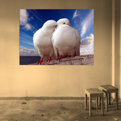 Pigeons Dove Blue Sky Sea Love Romance Kiss Peace Wall Art Print Poster