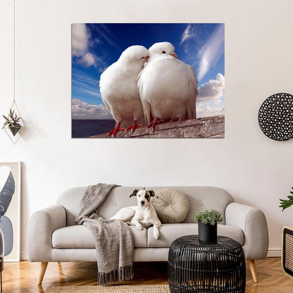 Pigeons Dove Blue Sky Sea Love Romance Kiss Peace Wall Art Print Poster