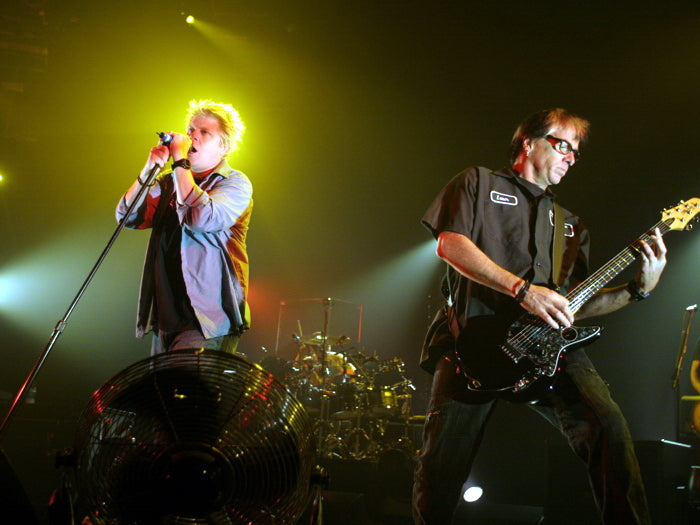 The Offspring Punk Rock Band Dexter Holland Pete Parada Live Concert Wall Art Print Poster