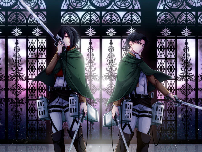 Attack on Titan Shingeki no Kyojin Mikasa Ackerman Rivaille Levi Anime Manga Art Wall Art Print Poster