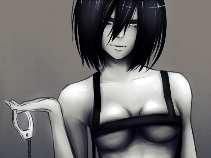 Attack on Titan Shingeki no Kyojin Mikasa Ackerman Hot Sexy Anime Manga Art Wall Art Print Poster