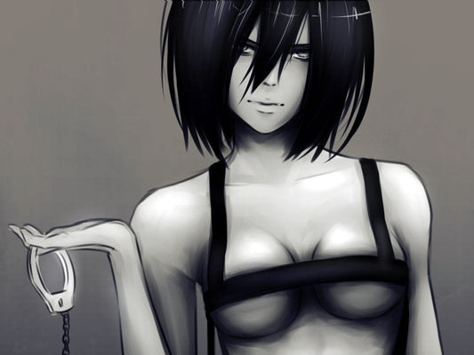 Attack on Titan Shingeki no Kyojin Mikasa Ackerman Hot Sexy Anime Manga Art Wall Art Print Poster