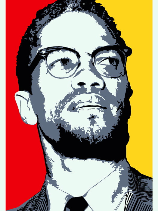 Malcolm X Human Rights Activist Portrait Art Wall Art Print Poster