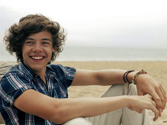 Harry Styles One Direction 1D Band Music Wall Art Print Poster