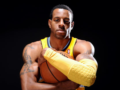 Andre Iguodala Basketball Sport Wall Art Print Poster