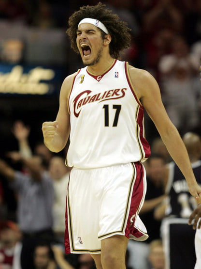 Anderson Varejao Basketball Sport Wall Art Print Poster