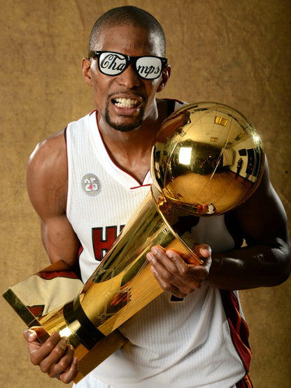 Chris Bosh Championship Trophy Basketball Sport Wall Art Print Poster