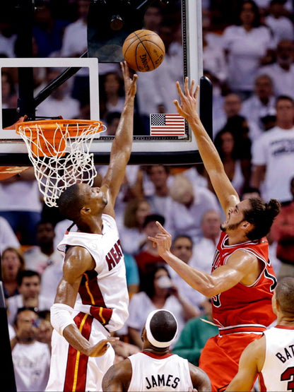 Chris Bosh Block Basketball Sport Wall Art Print Poster
