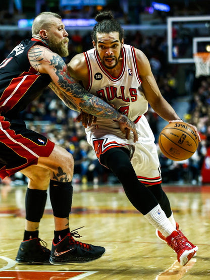 Joakim Noah vs Chris Andersen Basketball Sport Wall Art Print Poster
