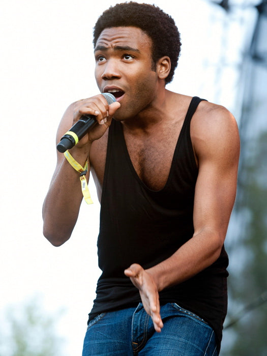 Childish Gambino Live Concert Rapper Rap Hip-Hop Music Wall Art Print Poster