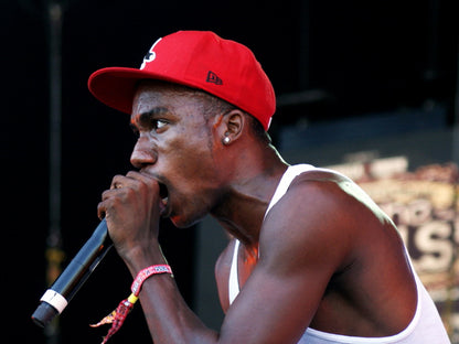 Hopsin Live Concert Microphone Rapper Hip-Hop Music Rap Wall Art Print Poster
