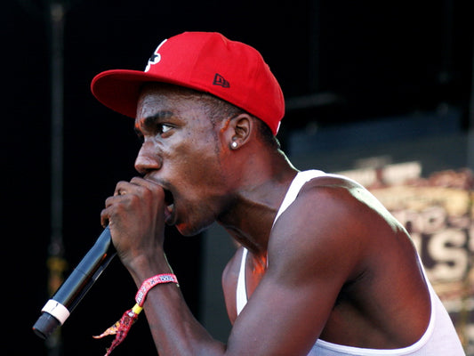 Hopsin Live Concert Microphone Rapper Hip-Hop Music Rap Wall Art Print Poster
