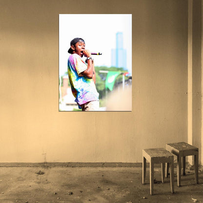 Tyler the Creator Rapper Hip-Hop Music Rap Wall Art Print Poster