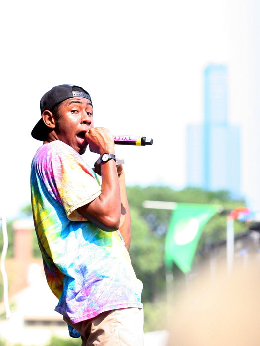 Tyler the Creator Rapper Hip-Hop Music Rap Wall Art Print Poster