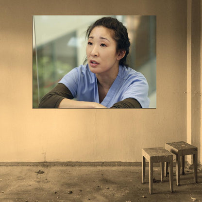 Grey's Anatomy Sandra Oh Cristina Yang Tv Series Wall Art Print Poster