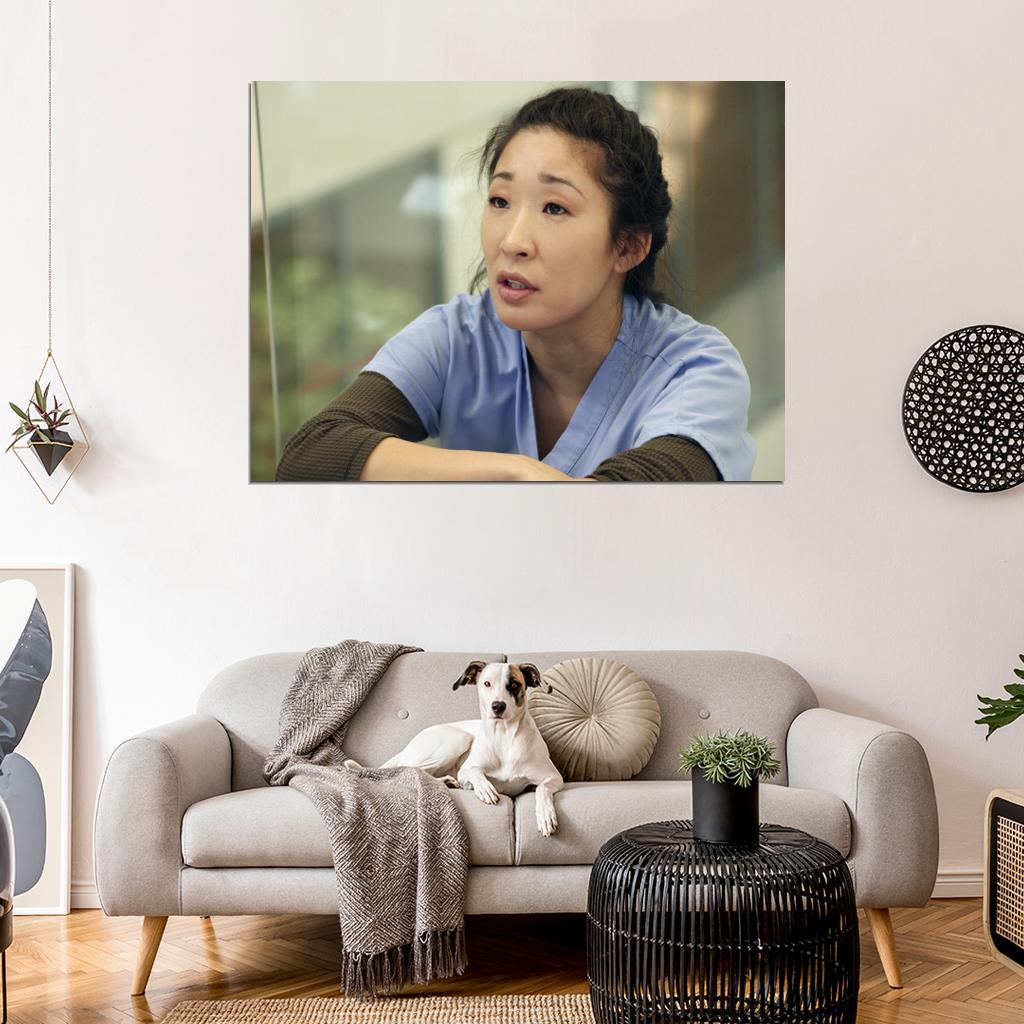 Grey's Anatomy Sandra Oh Cristina Yang Tv Series Wall Art Print Poster