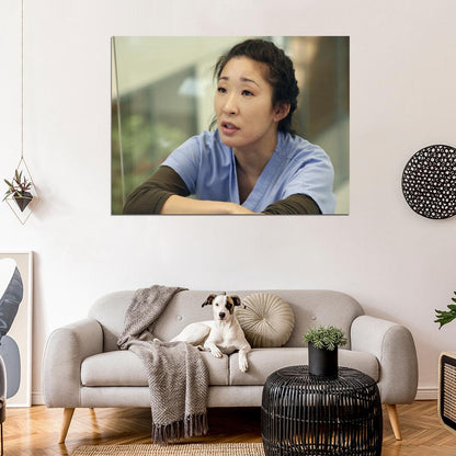 Grey's Anatomy Sandra Oh Cristina Yang Tv Series Wall Art Print Poster