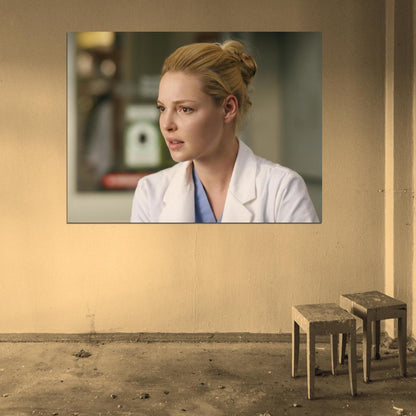 Grey's Anatomy Katherine Heigl Izzie Stevens Tv Series Wall Art Print Poster