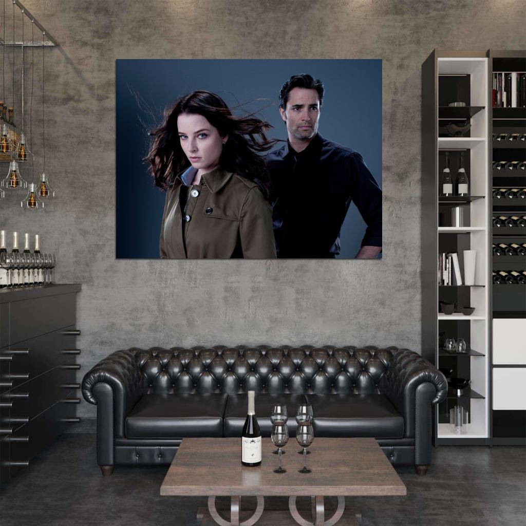 Continuum Rachel Nichols Victor Webster Tv Series Wall Art Print Poster