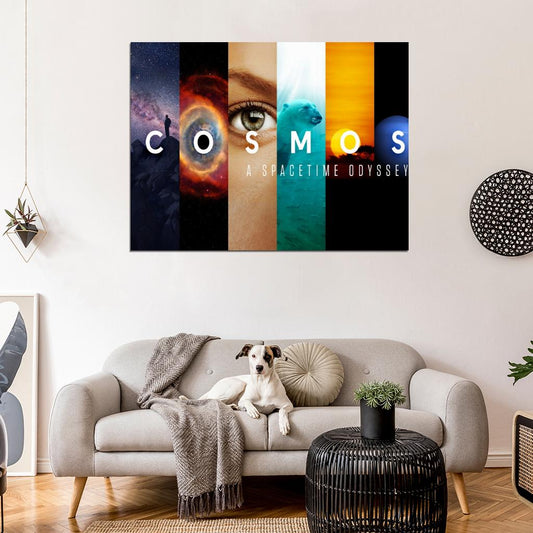 Cosmos A SpaceTime Odyssey Tv Series Wall Art Print Poster