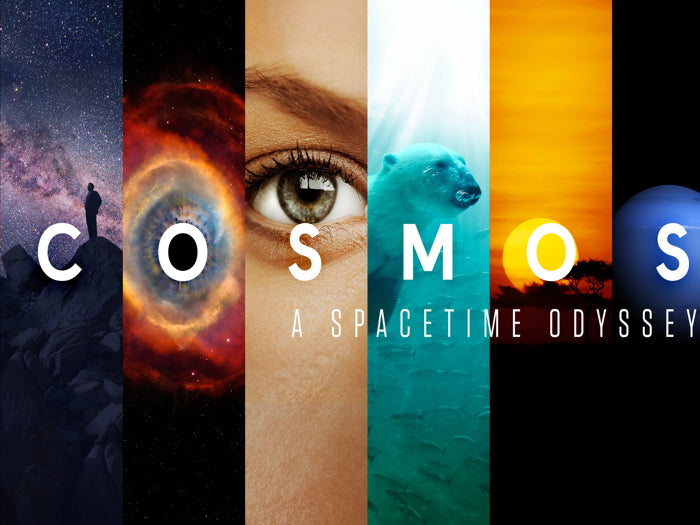 Cosmos A SpaceTime Odyssey Tv Series Wall Art Print Poster