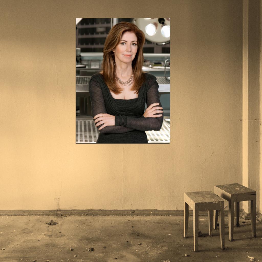 Body of Proof Dana Delany Megan Hunt Tv Series Wall Art Print Poster