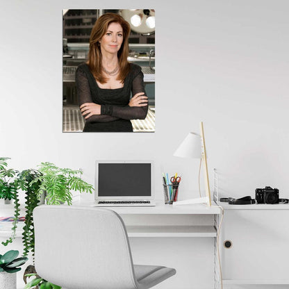 Body of Proof Dana Delany Megan Hunt Tv Series Wall Art Print Poster