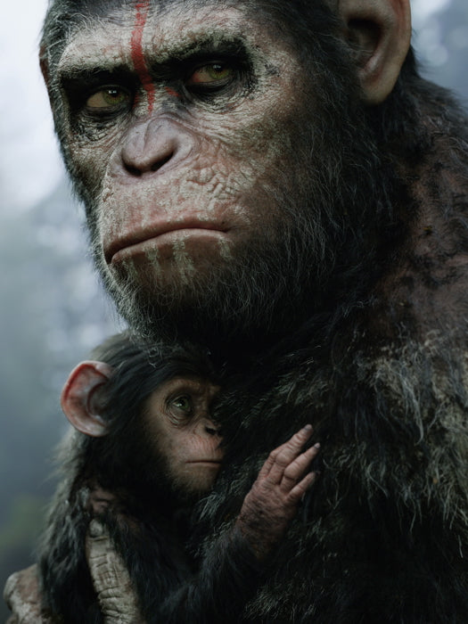 Dawn Of The Planet Of The Apes Movie Wall Art Print Poster