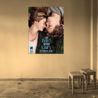 The Fault in Our Stars Movie Wall Art Print Poster
