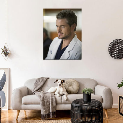 Grey's Anatomy Mark Sloan Eric Dane Tv Series Wall Art Print Poster