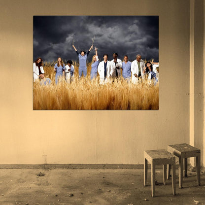 Grey's Anatomy Characters Cast Funny Amazing Tv Series Wall Art Print Poster